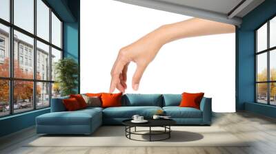 hand gesture holding isolated on white Wall mural