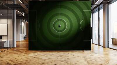 soccer field with soccer ball on grass Wall mural