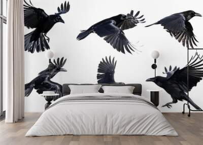 a set of flying birds, a black raven in flight isolated on a white background, a group of bird crows Wall mural