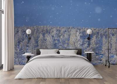 abstract background landscape winter forest / frost-covered tree branches, snowy weather christmas background Wall mural