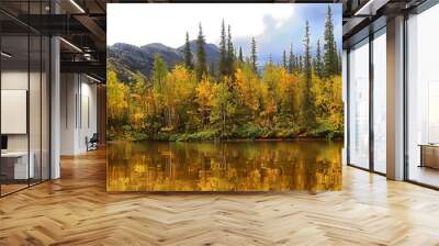 autumn forest mountains panorama, landscape trees, nature yellow season Wall mural