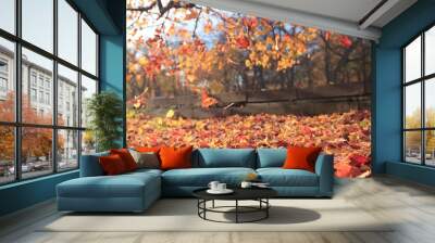 autumn leaf fall landscape in a city park Wall mural