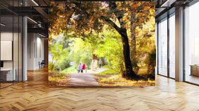 Autumn Street Park Wall mural