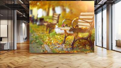 Benches in the autumn park Wall mural