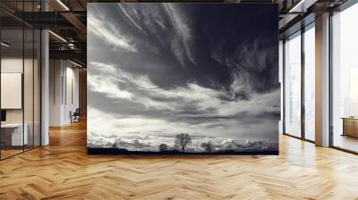 black and white photo autumn landscape Wall mural