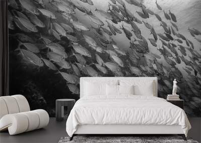 black white fish group / underwater nature poster design Wall mural