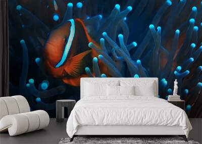 clown fish coral reef / macro underwater scene, view of coral fish, underwater diving Wall mural