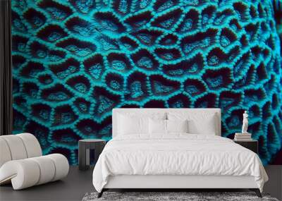 coral reef macro / texture, abstract marine ecosystem background on a coral reef Wall mural