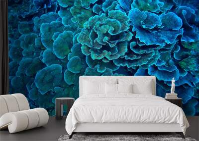 coral reef macro / texture, abstract marine ecosystem background on a coral reef Wall mural