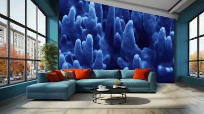 coral texture underwater background reef abstract sea Wall mural