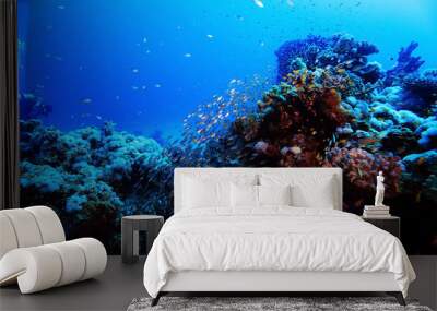 divers underwater landscape Wall mural