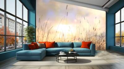 dry grass sun rays background wind nature landscape freedom Wall mural