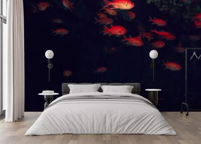 flock of fish in the sea background underwater view Wall mural