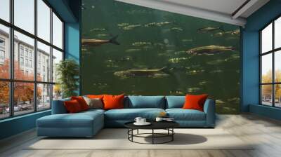 flock of small fish underwater, freshwater bleak fish anchovy seascape Wall mural