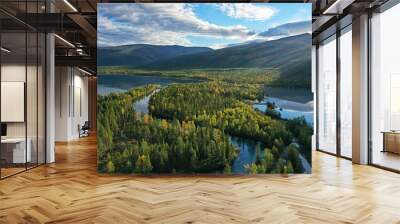 forest lake top view, landscape nature view forest, background Wall mural