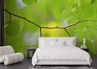 green branches leaves background / abstract view seasonal summer forest, foliage green, eco concept Wall mural