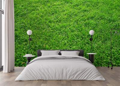 Green texture of grass lawn Wall mural