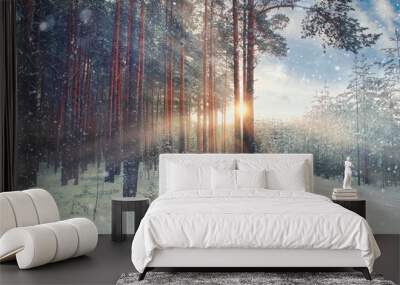 January winter landscape in the forest Wall mural