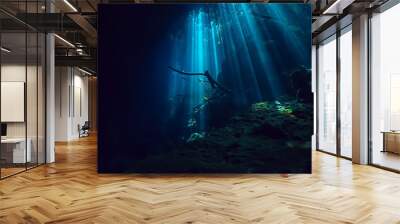 landscape diving in cenote, underwater fog hydrogen sulfide, extreme adventure in mexico Wall mural