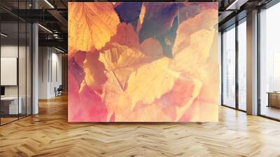 long narrow background autumn leaves  Wall mural