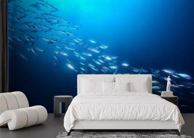 lot of small fish in the sea under water / fish colony, fishing, ocean wildlife scene Wall mural