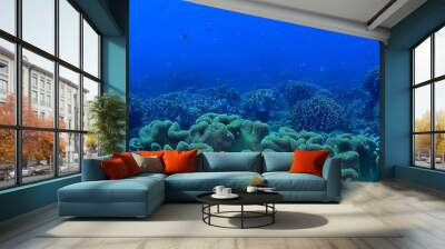 marine ecosystem underwater view / blue ocean wild nature in the sea, abstract background Wall mural