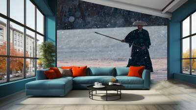 monk warrior snow landscape Wall mural