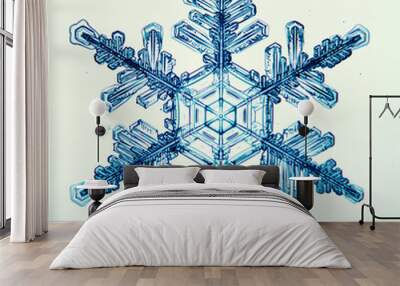 natural crystal snowflake macro Wall mural