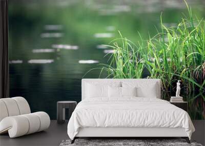 nature purity grass on the river bank Wall mural