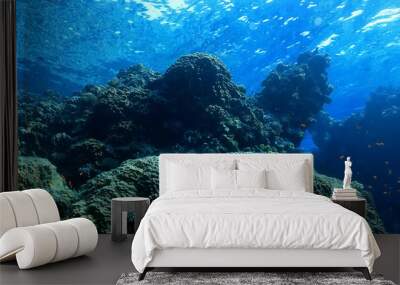 panorama coral reef underwater landscape seascape Wall mural