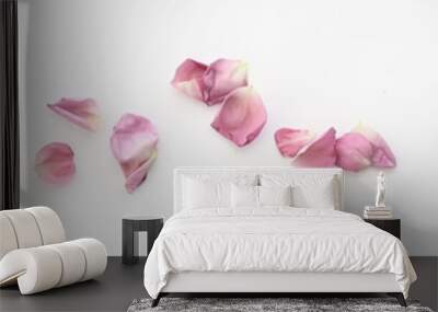 petals flowers frame / petals of red flowers on a white background isolated Wall mural