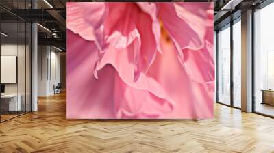 pink flower petals macro Wall mural