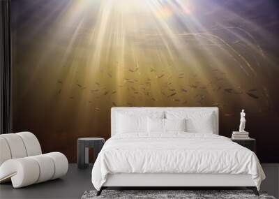 rays of light underwater fresh lake, abstract background nature landscape sun water Wall mural