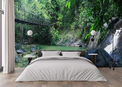 rope bridge over a river in the jungle Wall mural