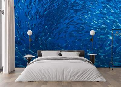 scad jamb under water / sea ecosystem, large school of fish on a blue background, abstract fish alive Wall mural