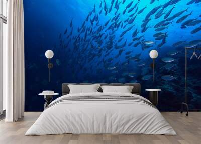 scad jamb under water / sea ecosystem, large school of fish on a blue background, abstract fish alive Wall mural