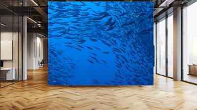 scad jamb under water / sea ecosystem, large school of fish on a blue background, abstract fish alive Wall mural