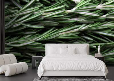 seasoning fresh rosemary Wall mural