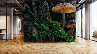 small mushrooms macro / nature forest, strong increase in poisonous mushrooms mold Wall mural