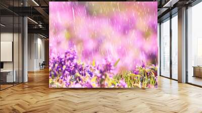 spring wild flowers rain drops abstract background Wall mural