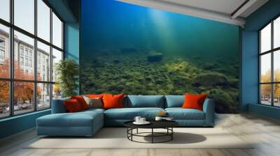 sun rays under water landscape, seascape fresh water river diving Wall mural