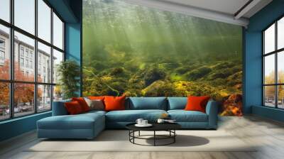 sun rays under water landscape, seascape fresh water river diving Wall mural