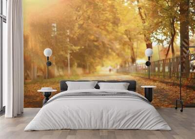 sunny landscape in fall park, autumn season background orange park Wall mural