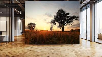 Sunset in Europe in a wheat field Wall mural