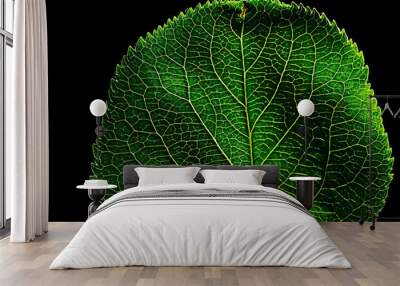 texture marco green leaf / fresh spring background green nature leaf tree structure Wall mural