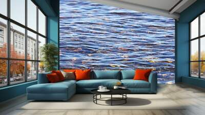 texture transparent clear waters of the sea lake Wall mural