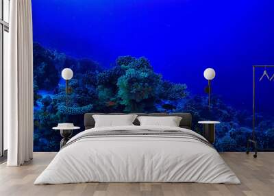 tropical sea underwater background diving ocean Wall mural