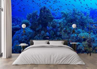 tropical sea underwater background diving ocean Wall mural