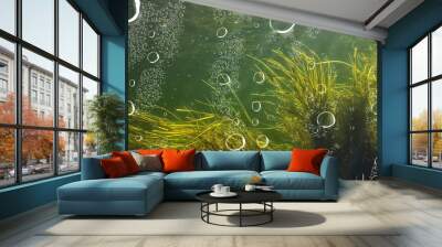 underwater fresh water green background with sun rays under, water Wall mural