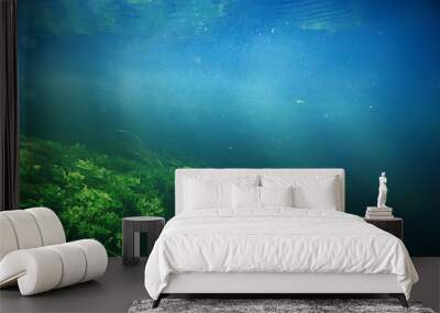 underwater freshwater green landscape / underwater landscape of the lake ecosystem, algae, green water, fresh water Wall mural